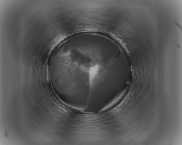 X0000091481171200708231354