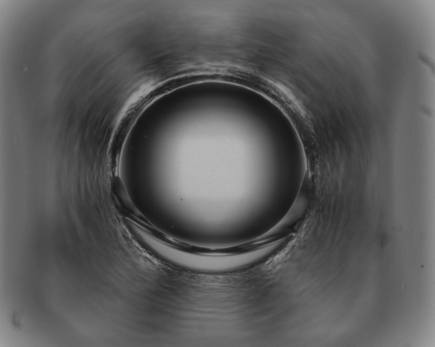 X0000091481172200708231354