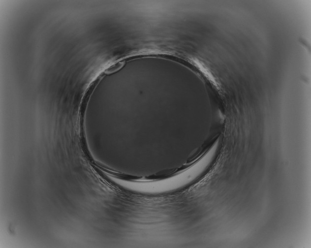 X0000091481173200708231354