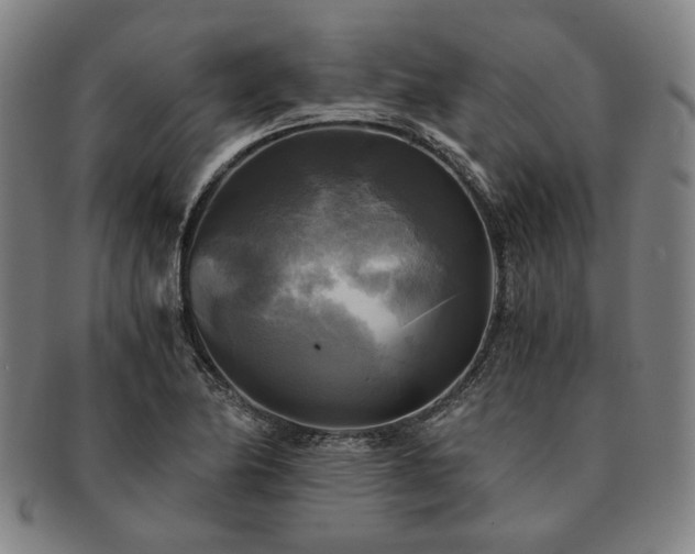 X0000091481174200708231354