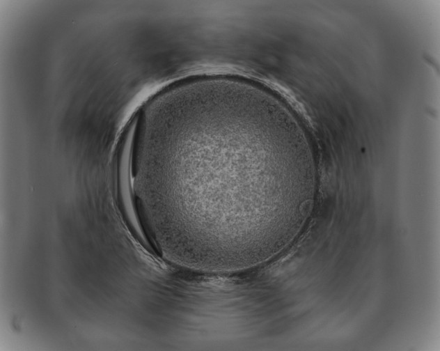 X0000091481175200708231354