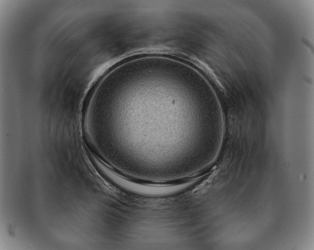 X0000091481176200708231354