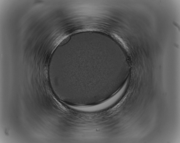 X0000091481177200708231354