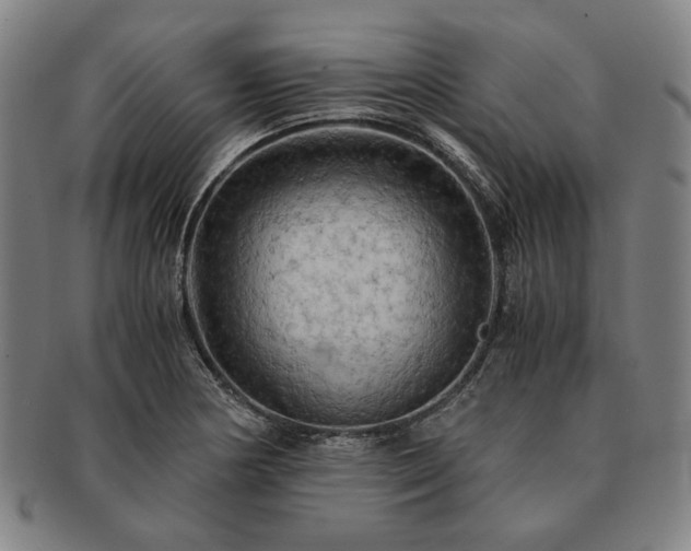 X0000091481178200708231354