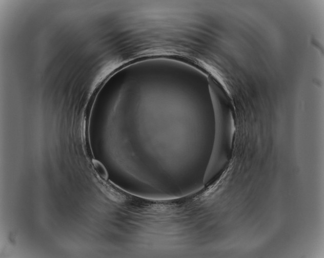 X0000091481179200708231354