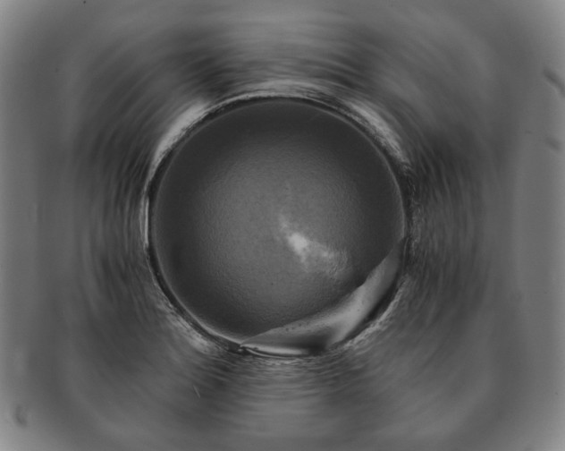 X0000091481180200708231354