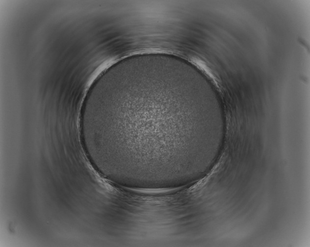 X0000091481181200708231354