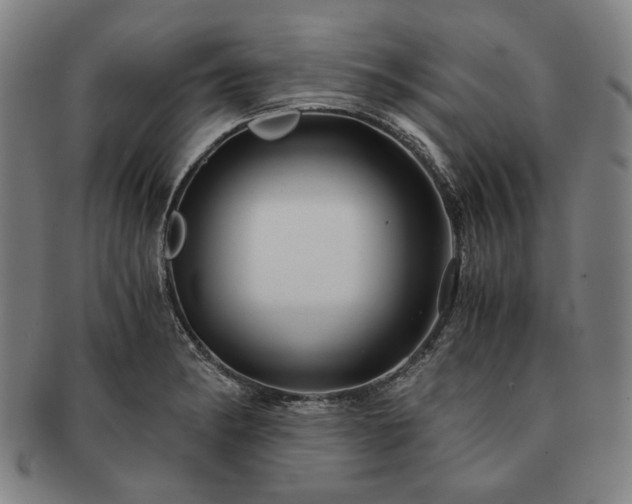 X0000091481182200708231354