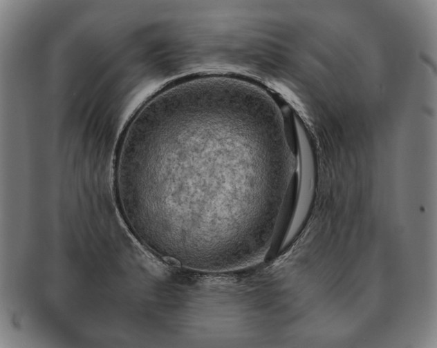 X0000091481183200708231354