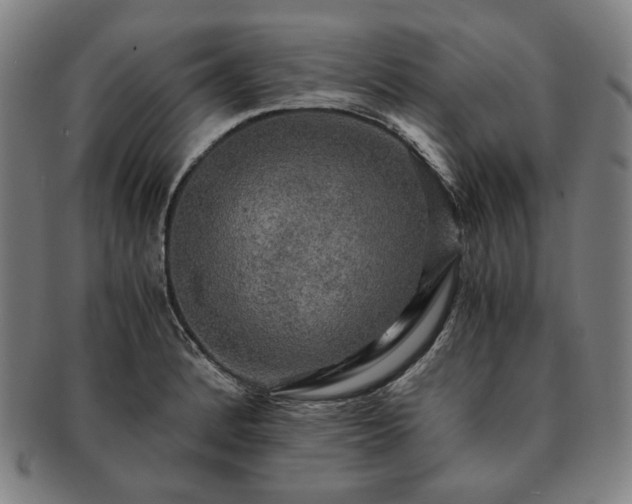 X0000091481184200708231354