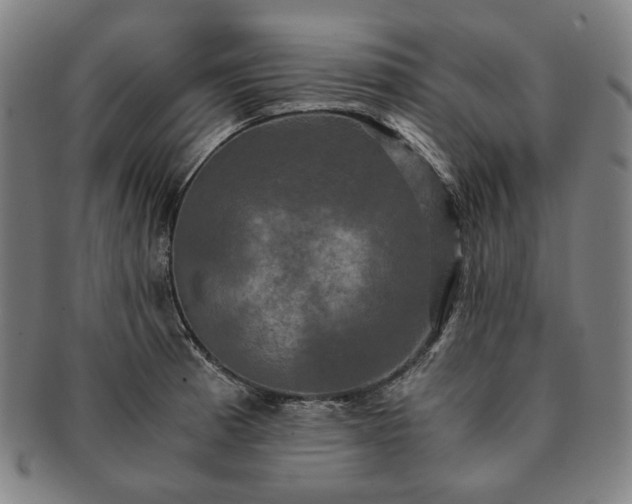 X0000091481185200708231354