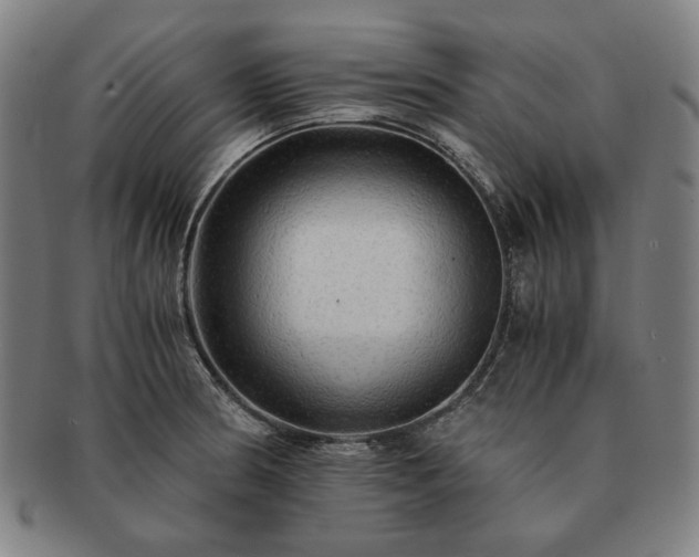 X0000091481186200708231354