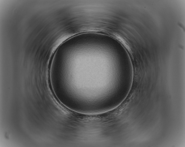 X0000091481187200708231354