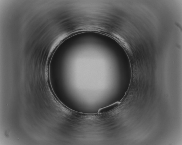 X0000091481188200708231354