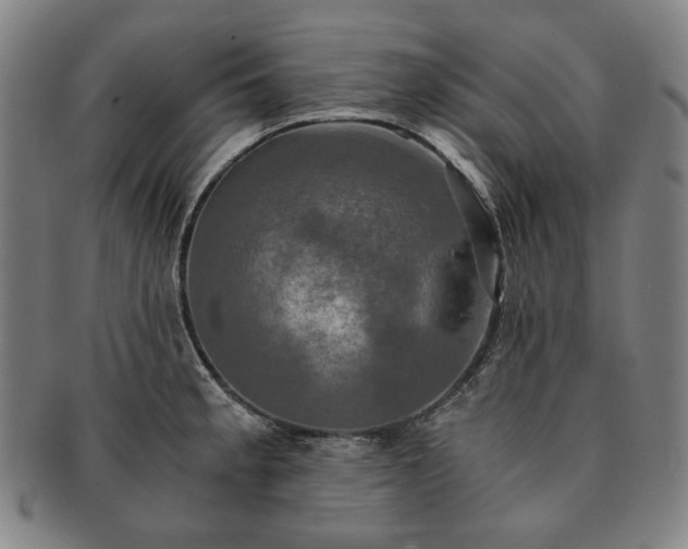 X0000091481189200708231354