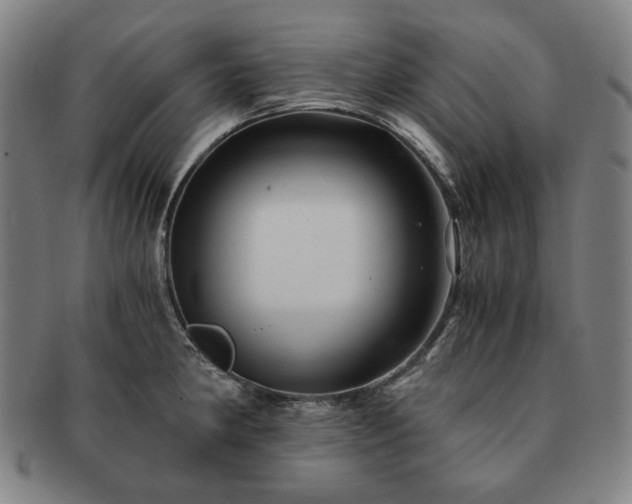 X0000091481190200708231354