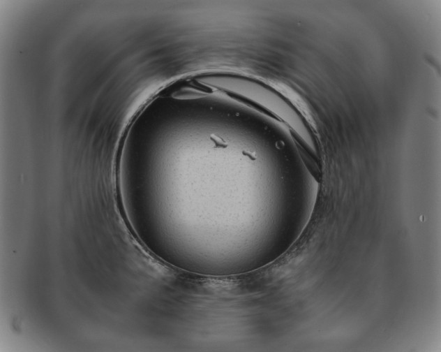 X0000091481191200708231354