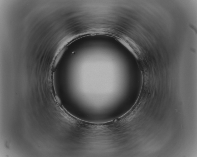 X0000091481192200708231354