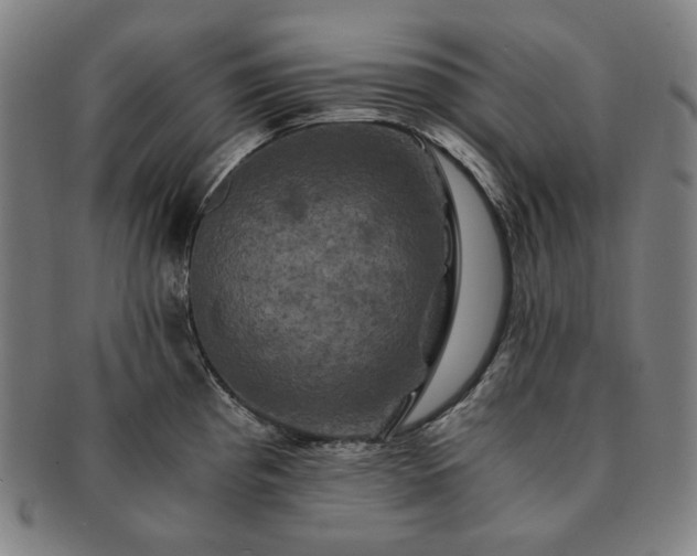 X0000091481193200708231354