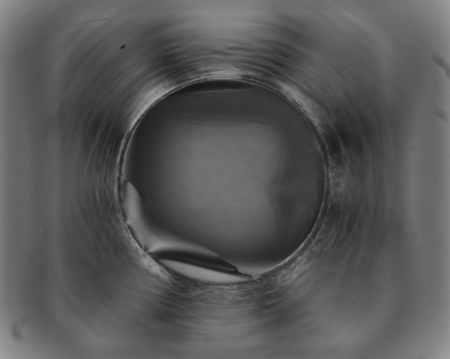 X0000091481194200708231354