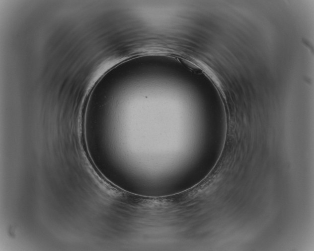 X0000091481195200708231354