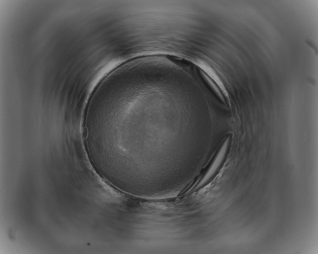 X0000091481197200708231353