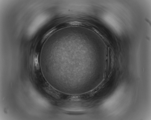 X0000091481198200708231353