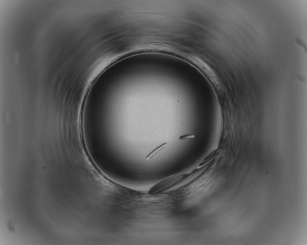 X0000091481199200708231353