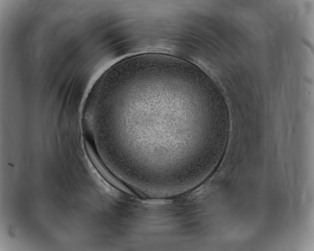 X0000091481200200708231353