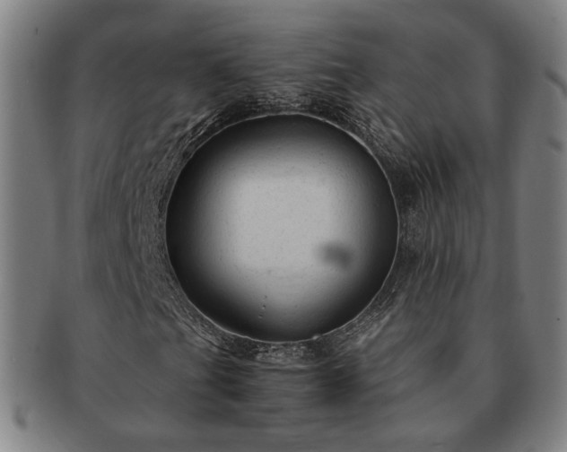 X0000091481201200708231353