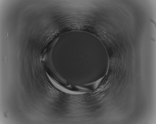 X0000091481202200708231353