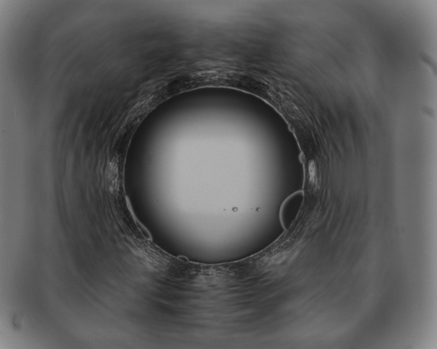 X0000091481203200708231353