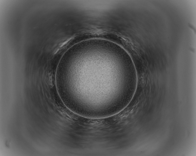 X0000091481205200708231353