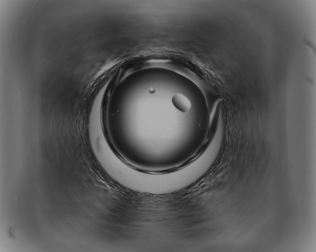 X0000091481206200708231353