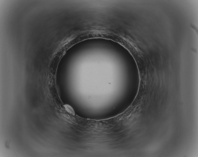 X0000091481207200708231353