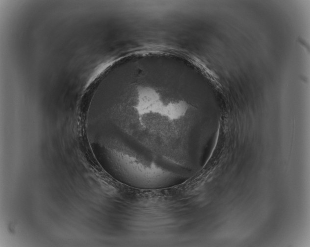 X0000091481208200708231353