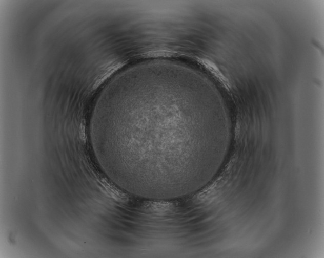 X0000091481209200708231353