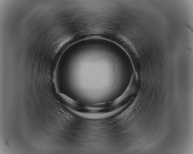 X0000091481210200708231353