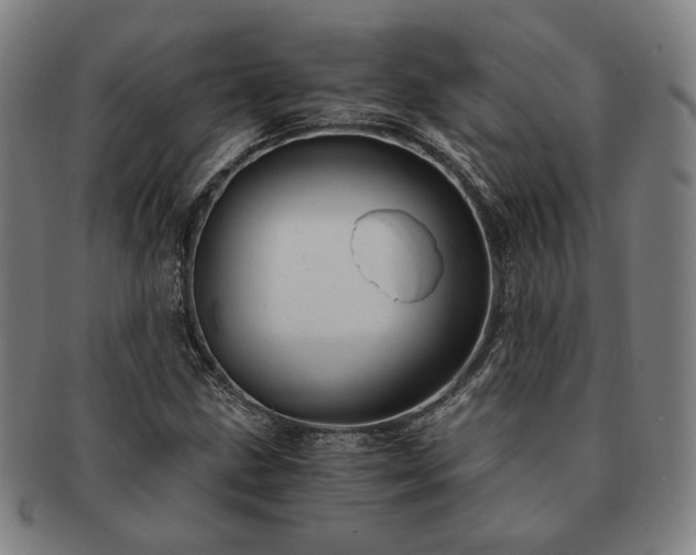 X0000091481211200708231353