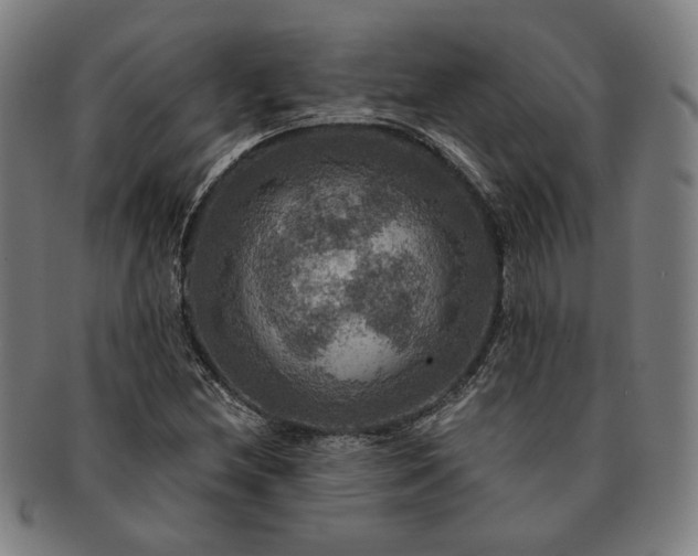 X0000091481212200708231353