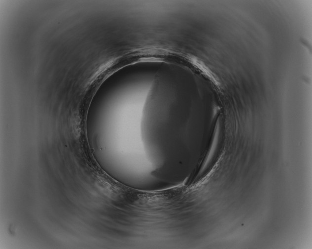 X0000091481213200708231353