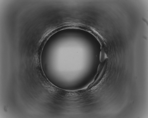 X0000091481215200708231353