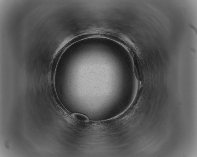 X0000091481216200708231353