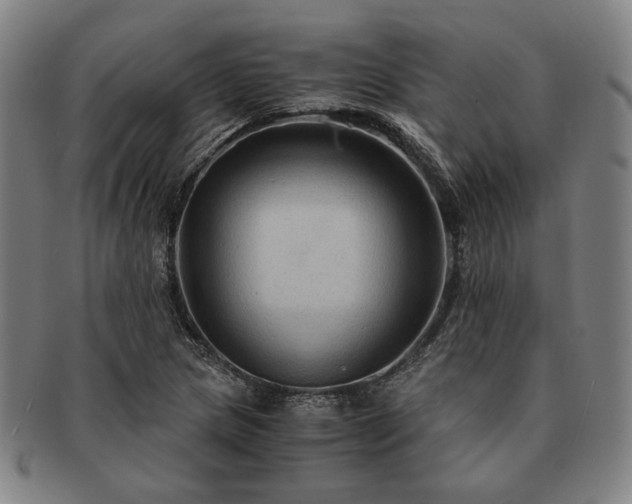 X0000091481217200708231353