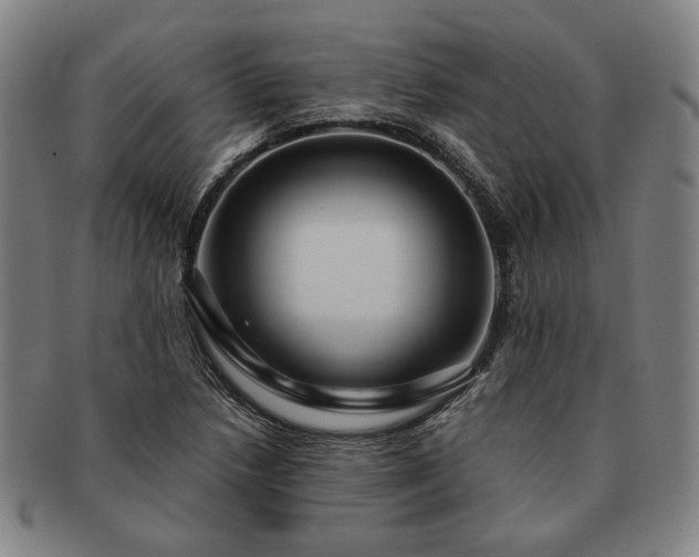 X0000091481218200708231353