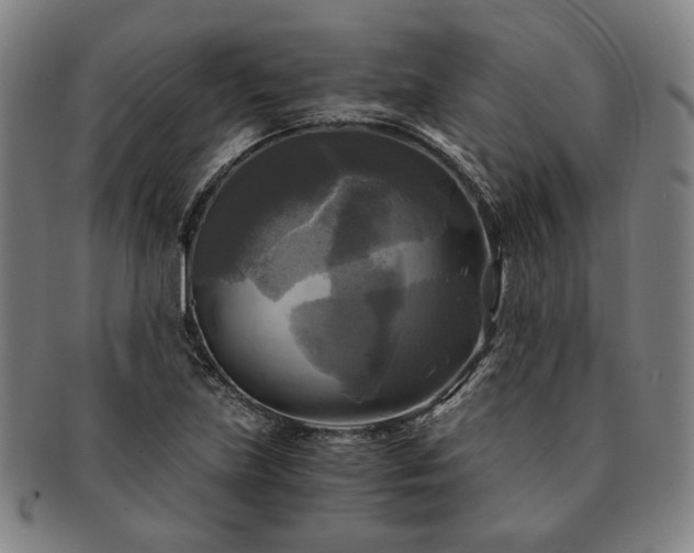 X0000091481219200708231353