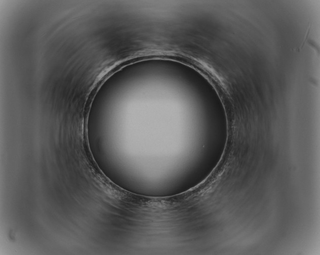 X0000091481220200708231353