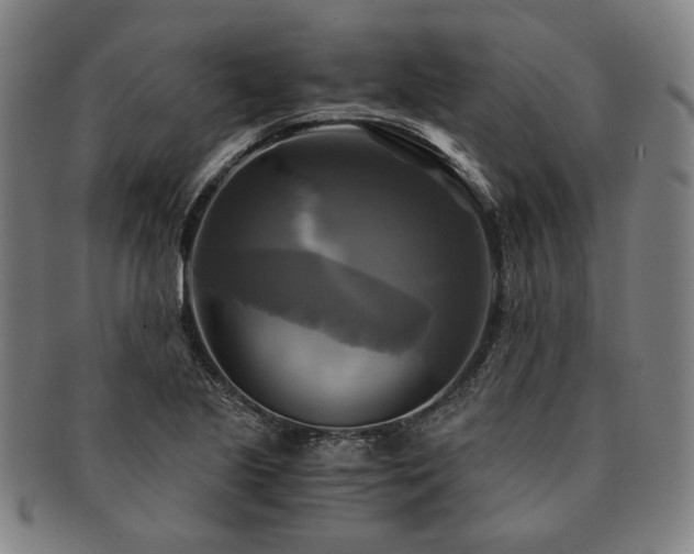 X0000091481221200708231353