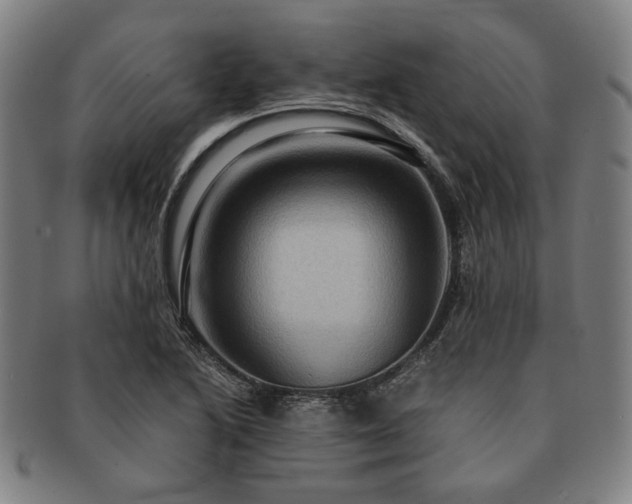 X0000091481222200708231353