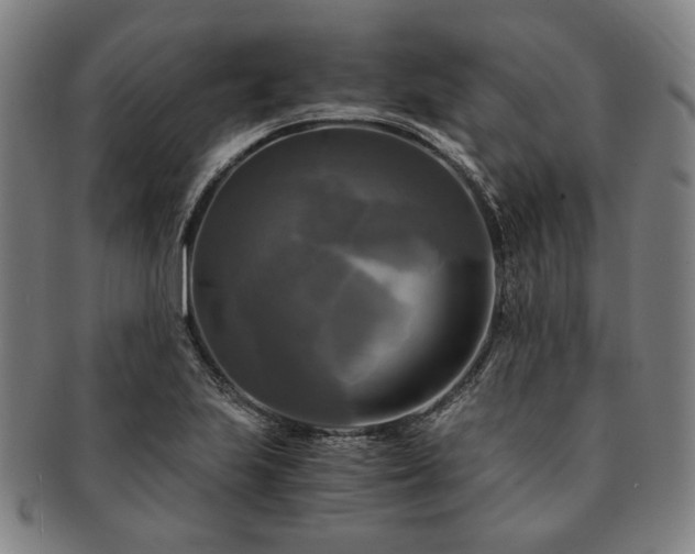 X0000091481223200708231353